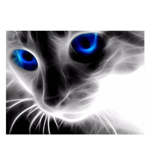 Image of 5D Cat - PhenomHouse